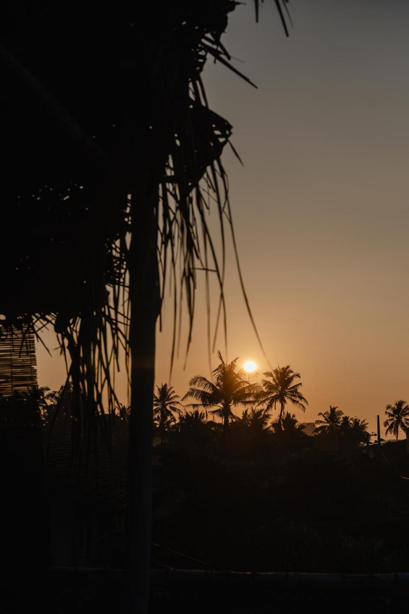 Gaia Ocean Surf Yoga Hostel Ahangama Ngoại thất bức ảnh